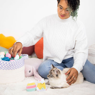 easter chick and egg cat toy set