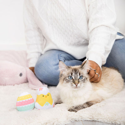 easter chick and egg cat toy set