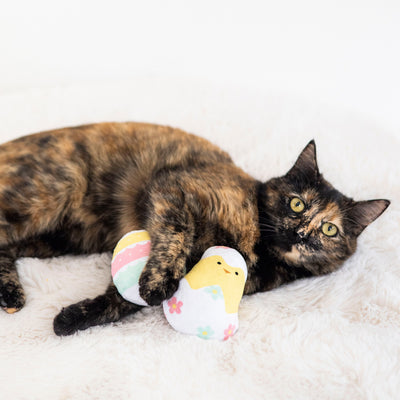 easter chick and egg cat toy set