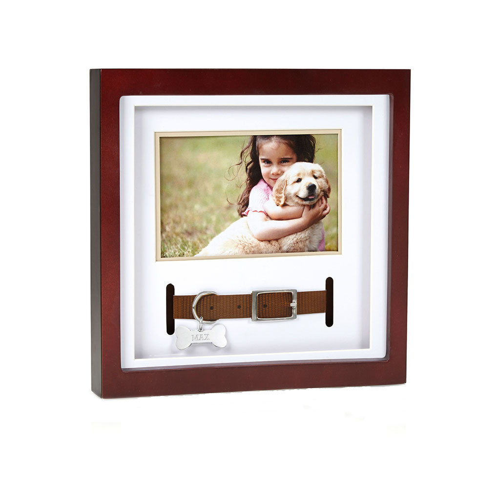 pearhead's pet collar frame