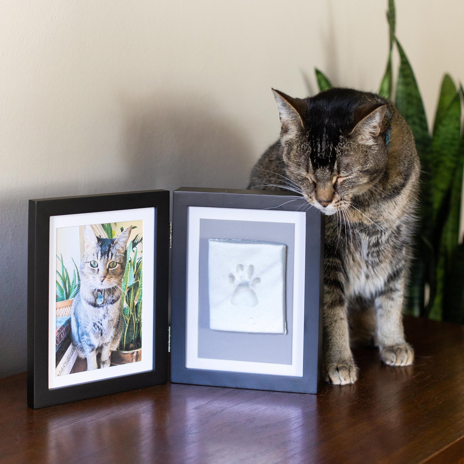 Pet Study Frame pet desk frame – Pearhead