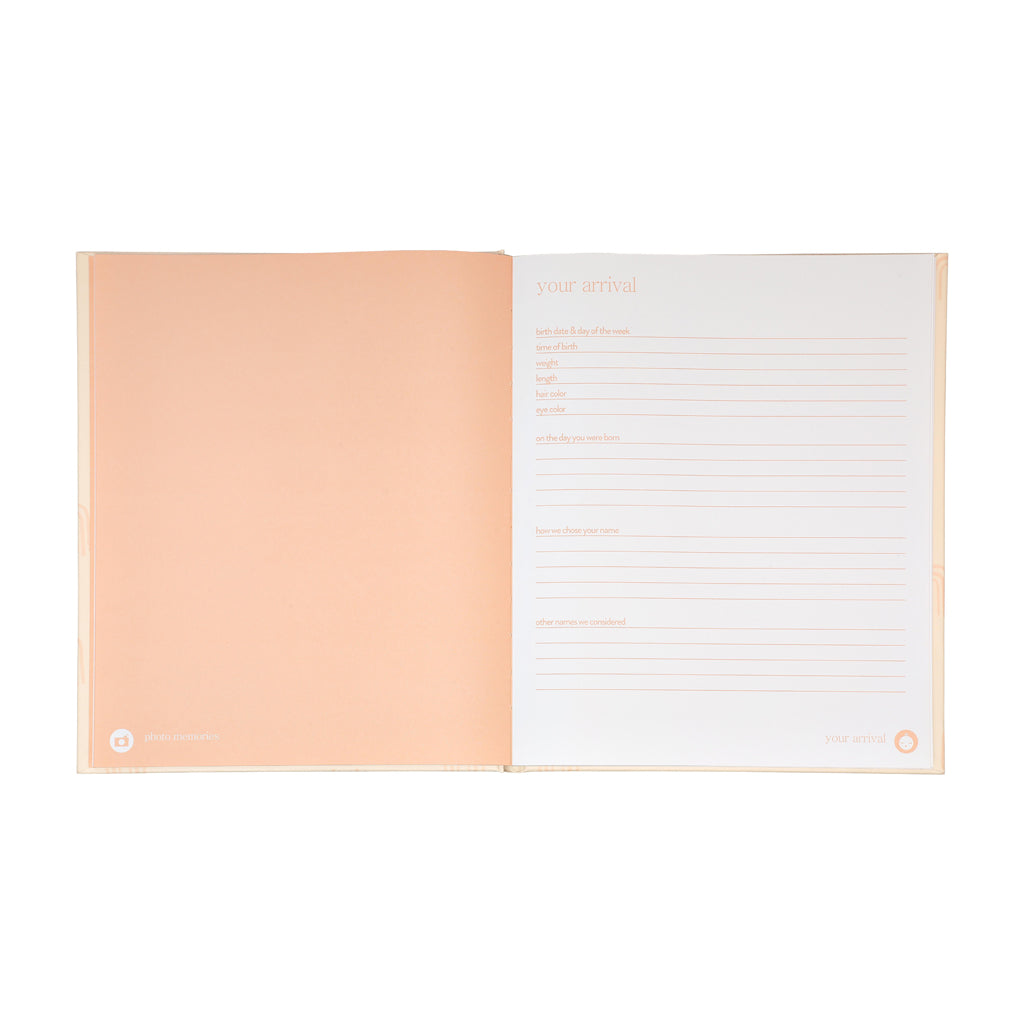 blush rainbow baby book