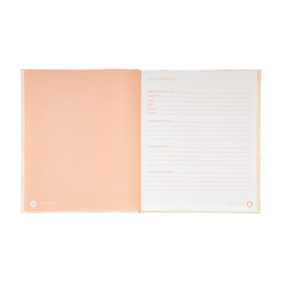 blush rainbow baby book