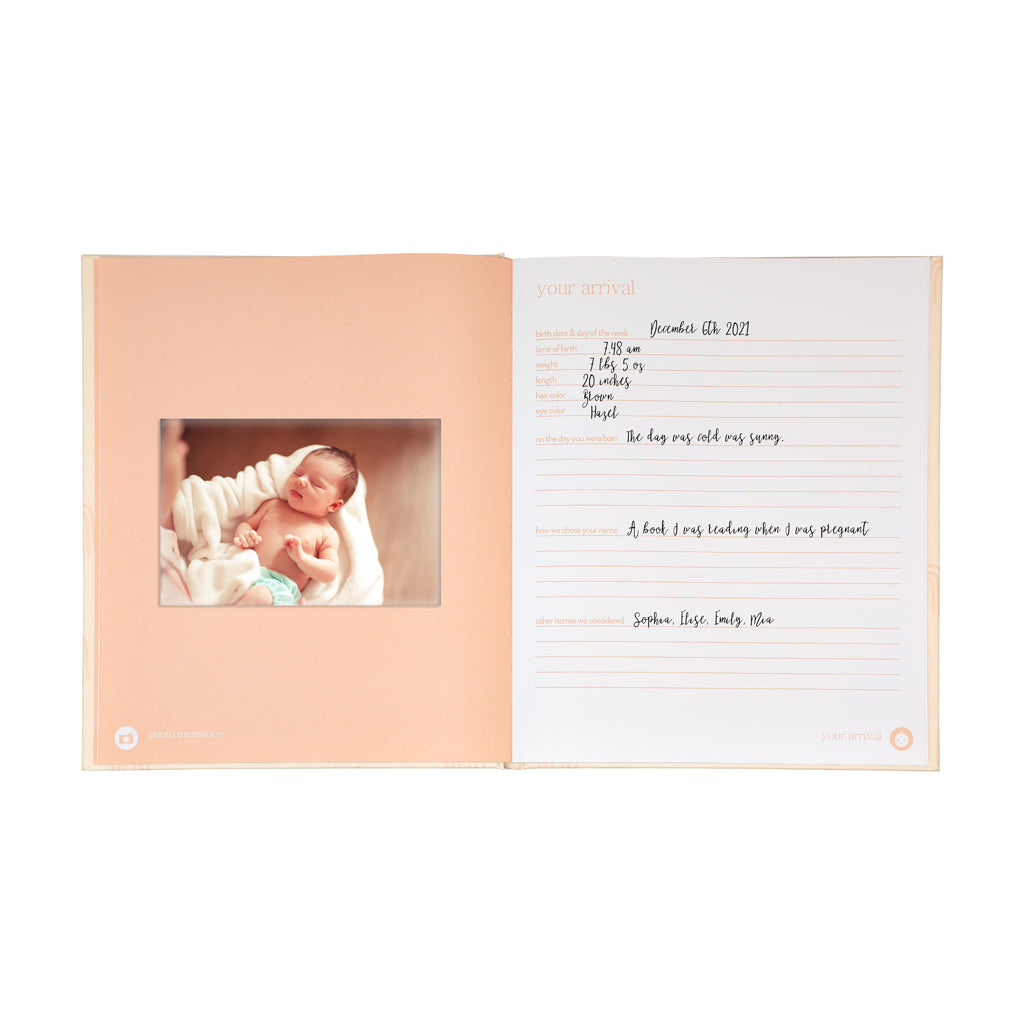 blush rainbow baby book