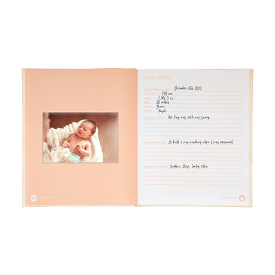 blush rainbow baby book