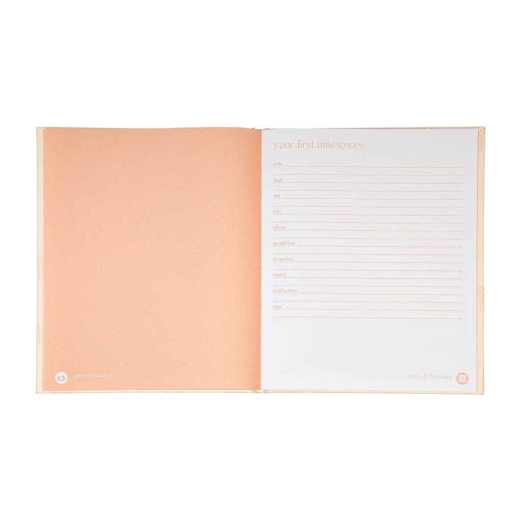 blush rainbow baby book