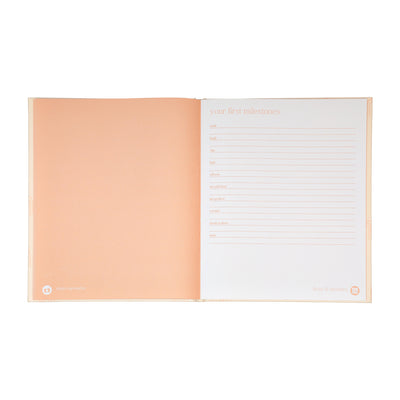 blush rainbow baby book