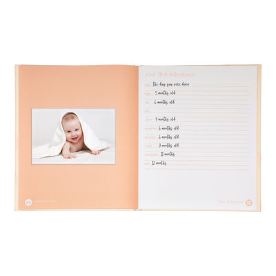 blush rainbow baby book
