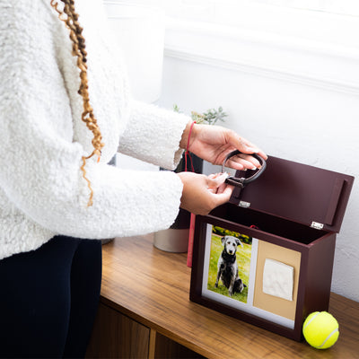 pawprints memory box