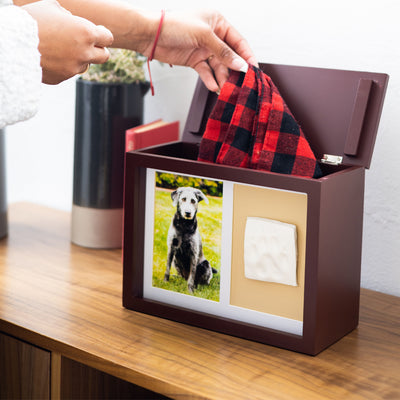 pawprints memory box