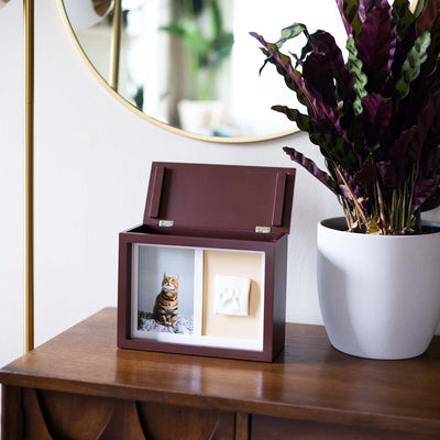 pawprints memory box