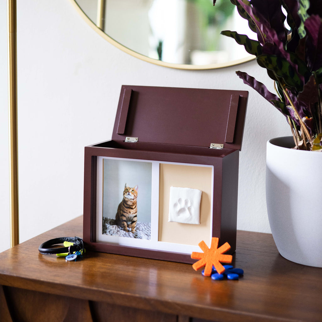 Cat memory box sales