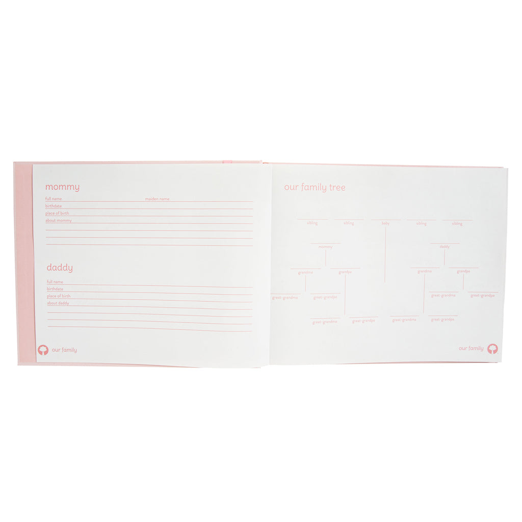 bunny baby memory book