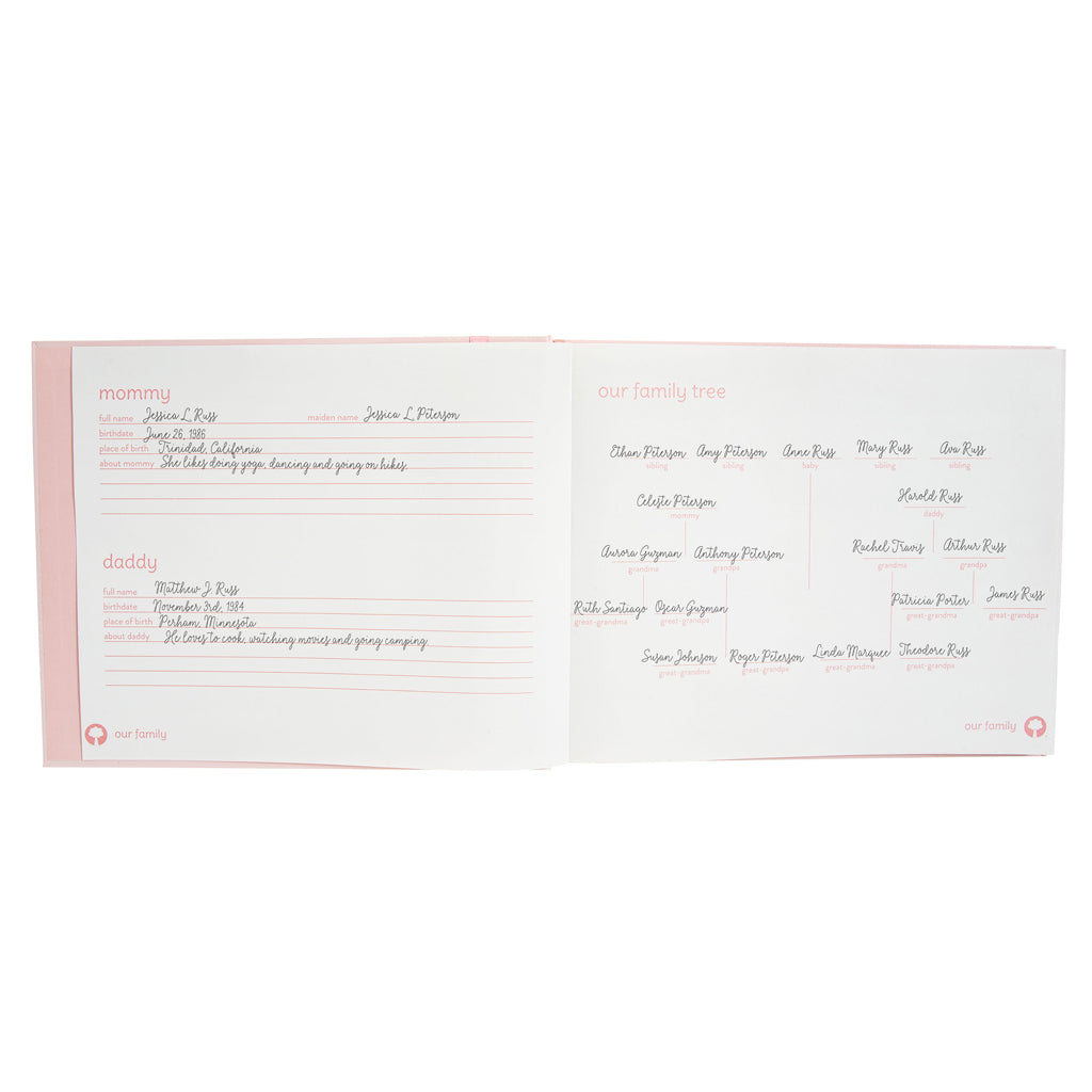 bunny baby memory book