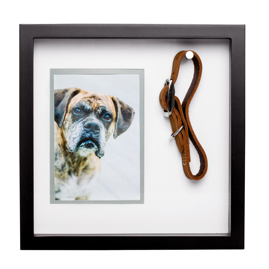 pet collar frame