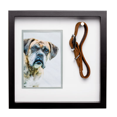 pet collar frame