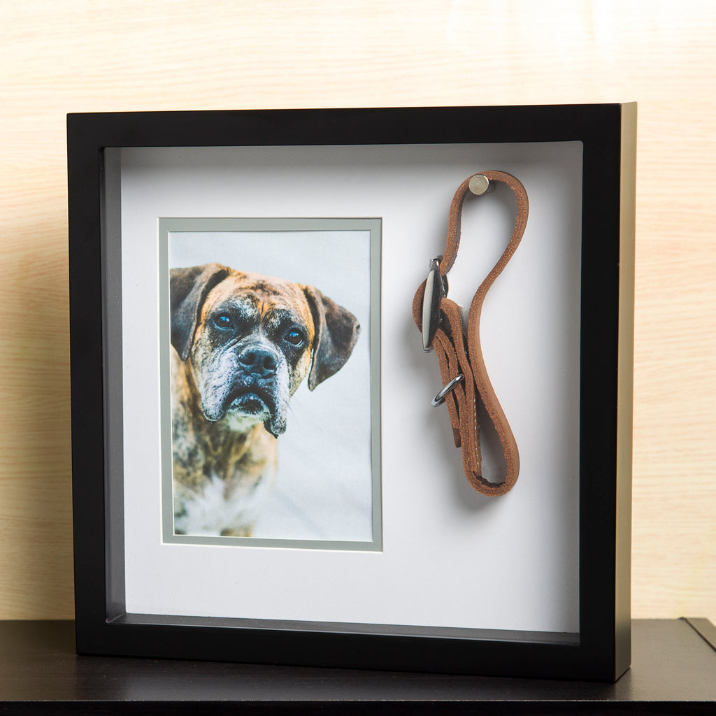 pet collar frame