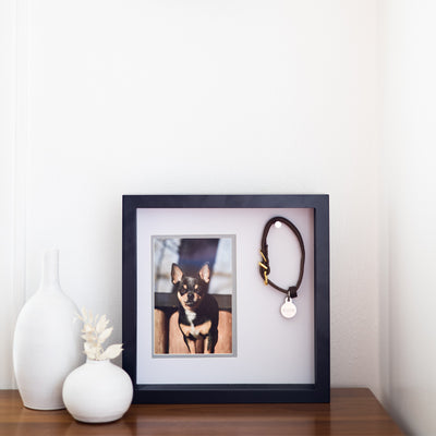 pet collar frame