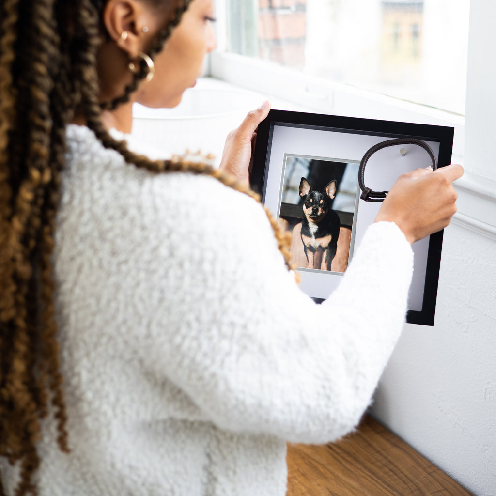 pet collar frame