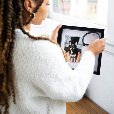 pet collar frame
