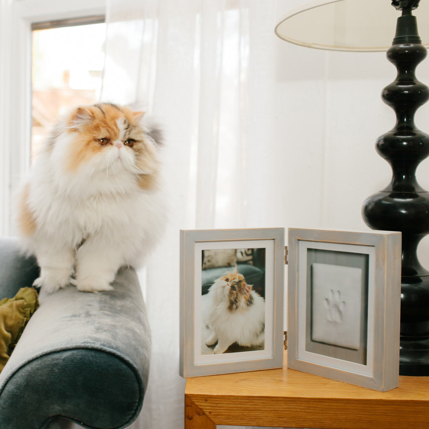Pet Study Frame pet desk frame – Pearhead