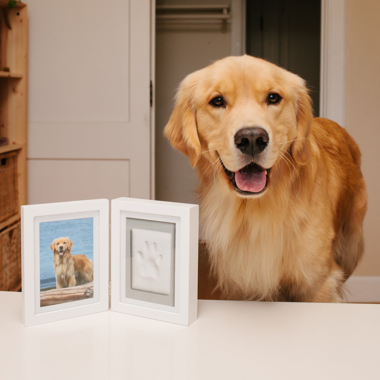 Pet Study Frame pet desk frame – Pearhead
