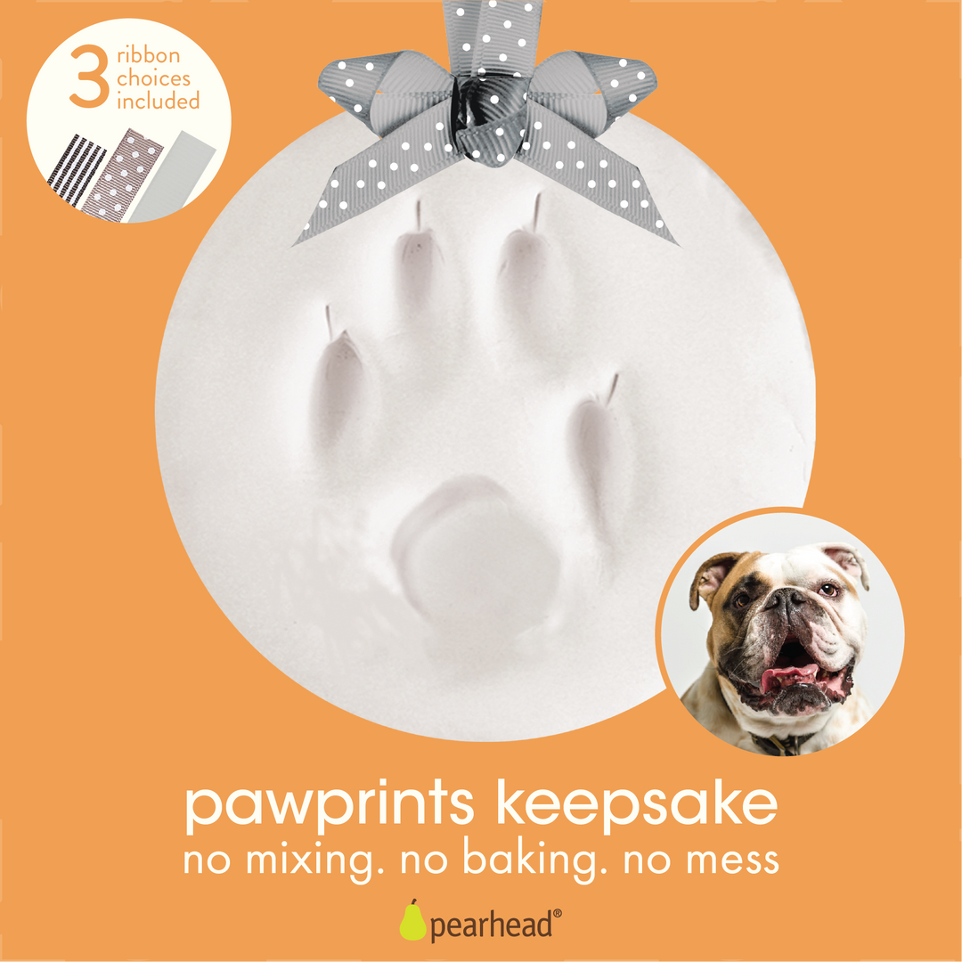 Dog paw print impression kit sales