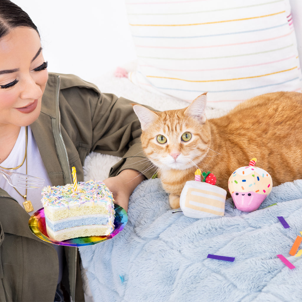 birthday cake cat toy set