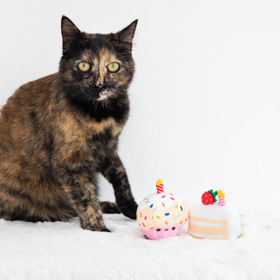 birthday cake cat toy set