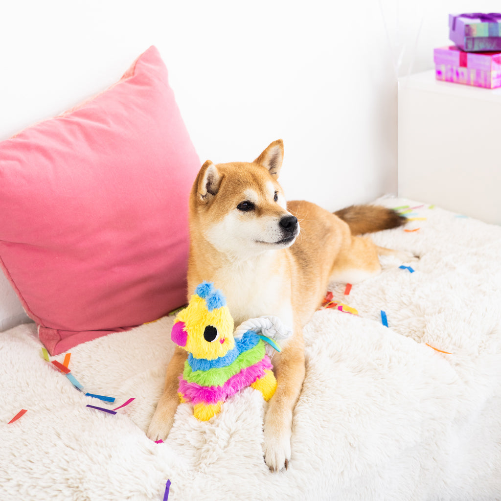 puppy piñata dog toy