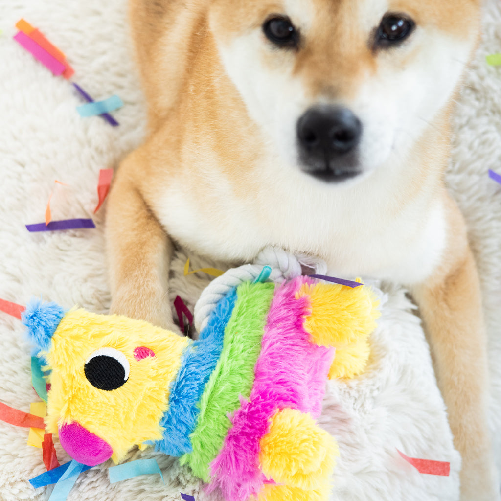 puppy piñata dog toy