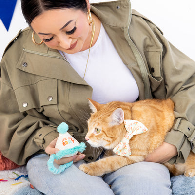 happy purrday cat hat and bowtie set