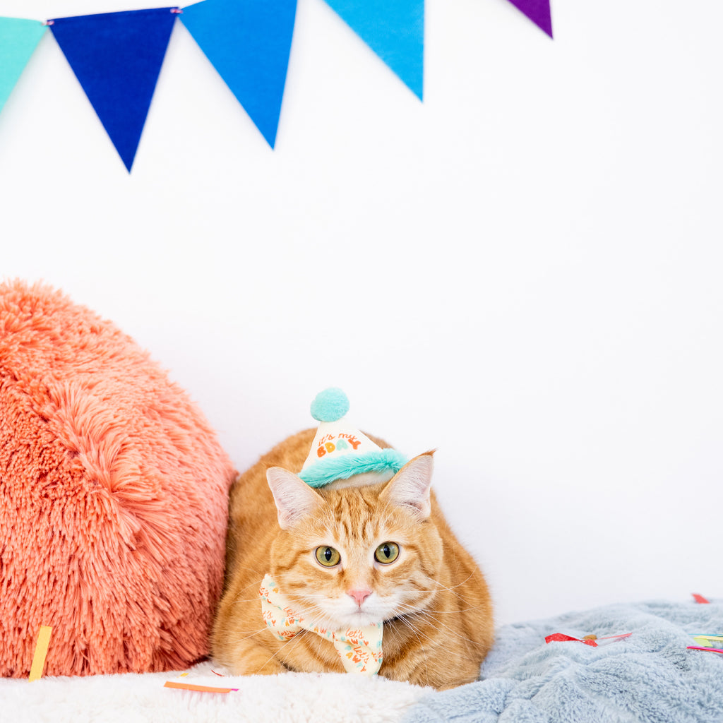 happy purrday cat hat and bowtie set