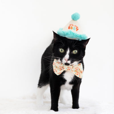 happy purrday cat hat and bowtie set