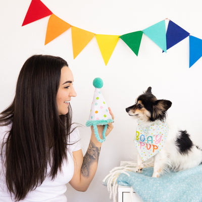 birthday pup dog bandana and hat set