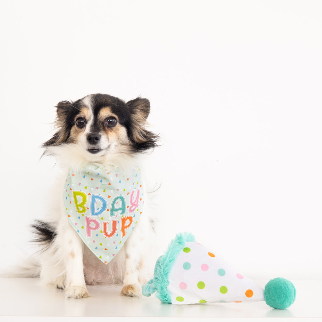 Birthday Hat Pet Birthday Bandana Cute Dot Cat Dog Birthday Bib