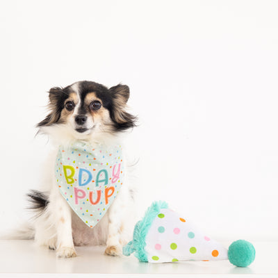 birthday pup dog bandana and hat set