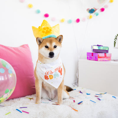 happy barkday dog bandana and hat set