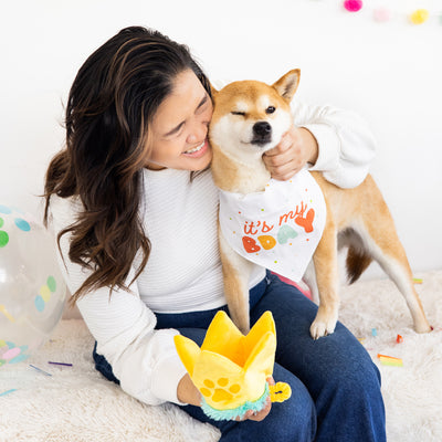 happy barkday dog bandana and hat set