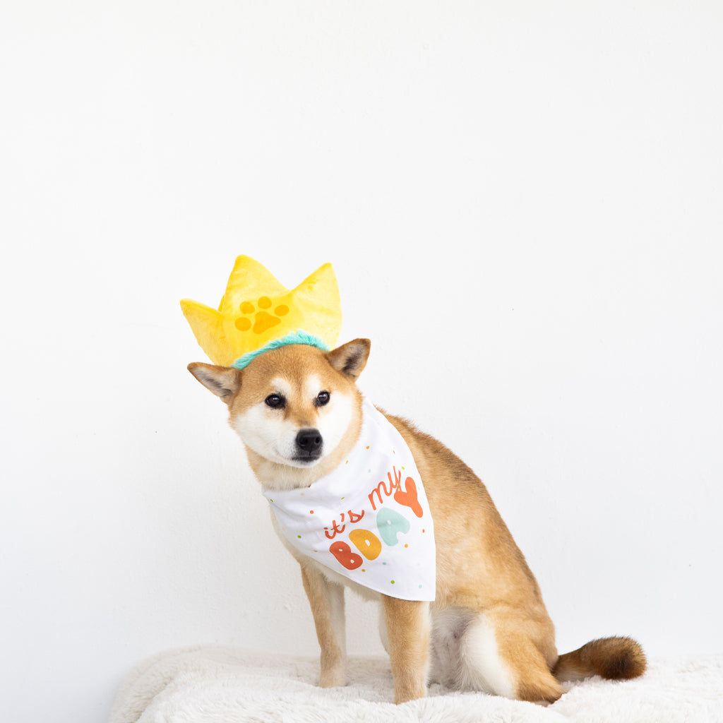 happy barkday dog bandana and hat set