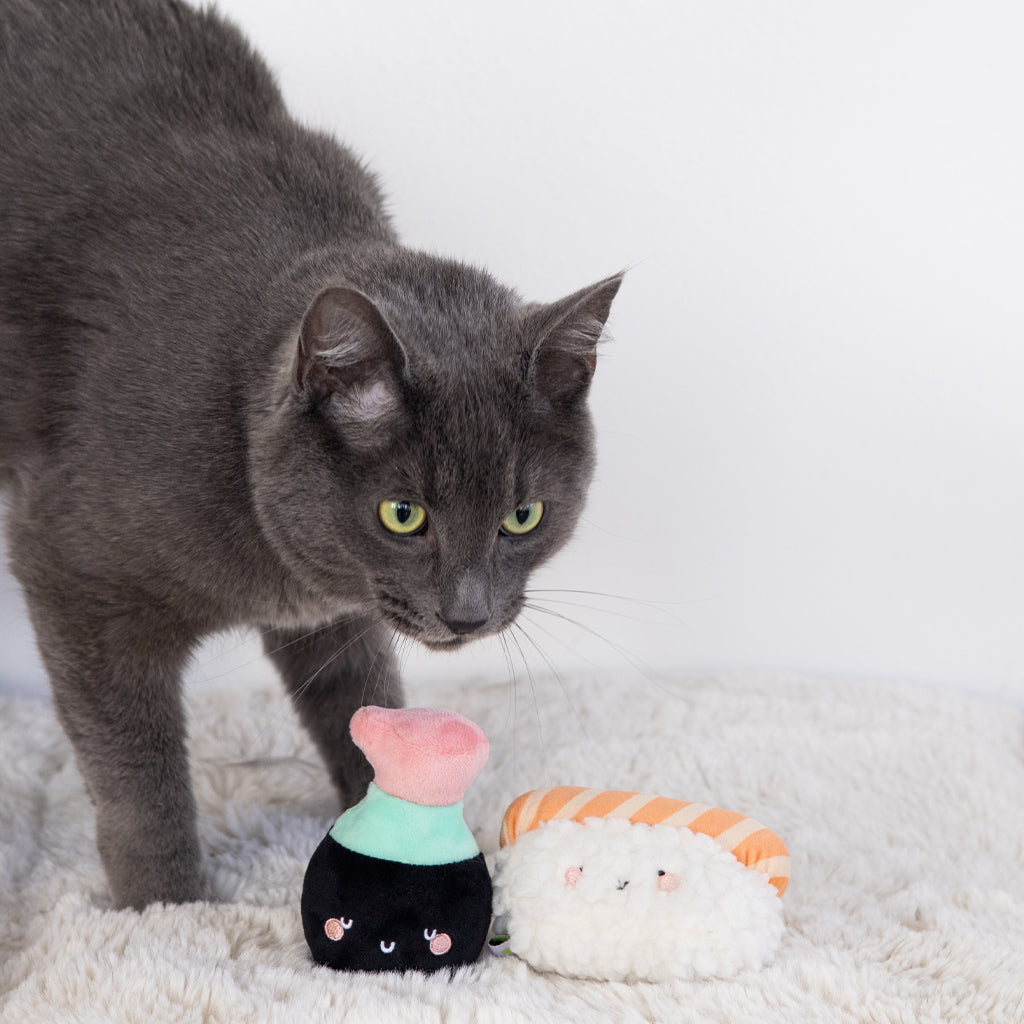 soy sauce and sushi cat toy set