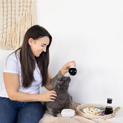 soy sauce and sushi cat toy set