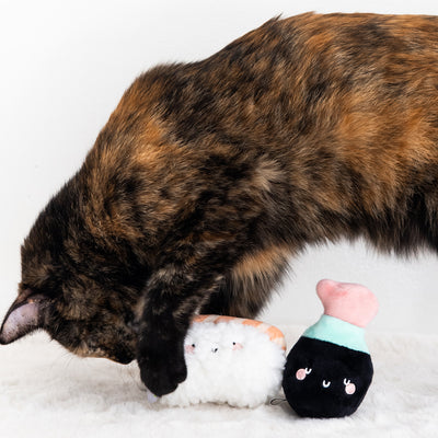 soy sauce and sushi cat toy set