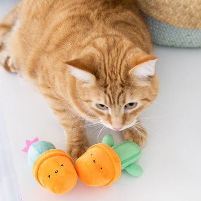 prickly plants cat toy set