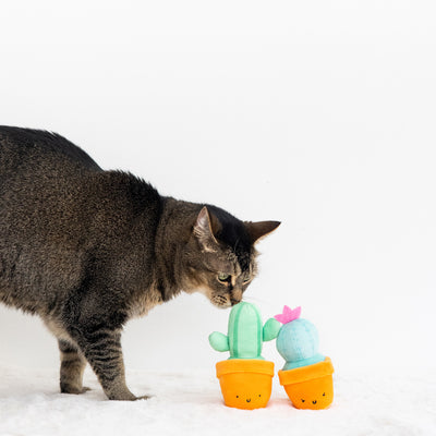 prickly plants cat toy set