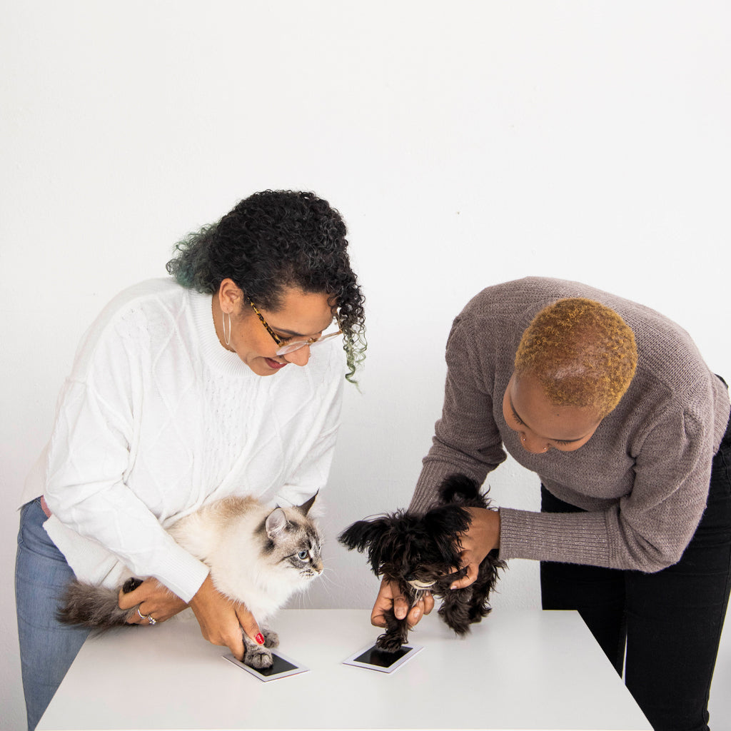 cleantouch ink pad twopack Pearhead