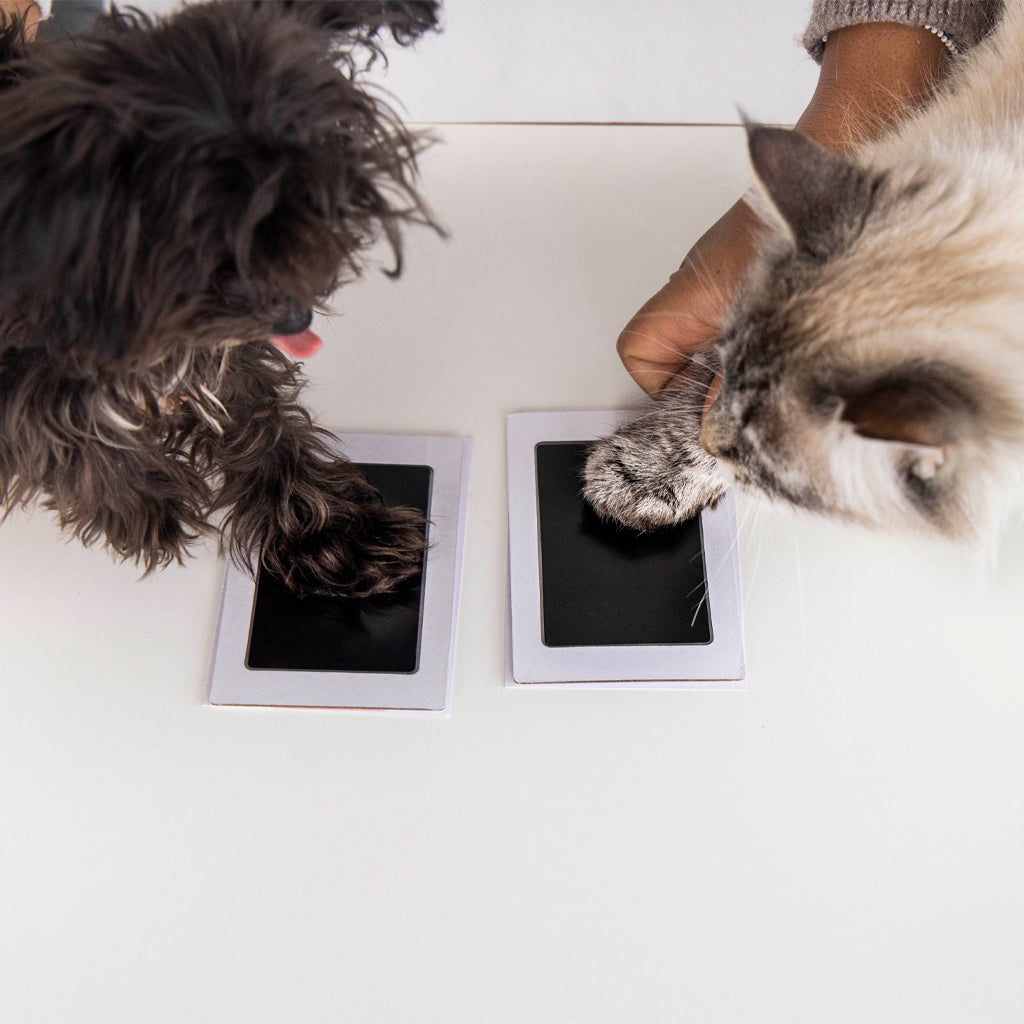 cleantouch ink pad twopack Pearhead