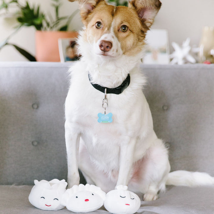 dim sum dumplings dog toy set Pearhead