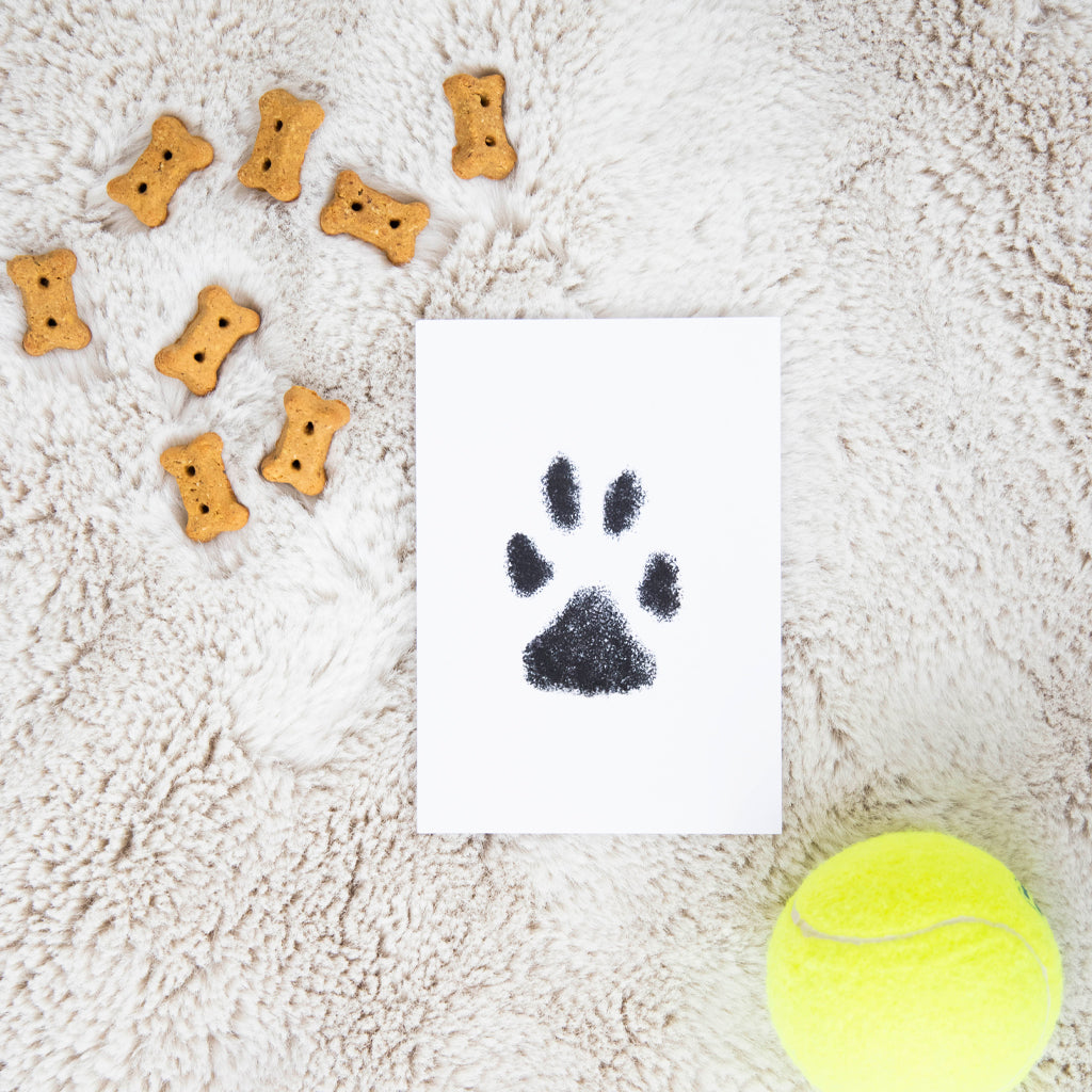 Peahead Pet Pawprint Clean-Touch Ink Pad